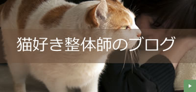 東川口の猫好き整体師のブログ